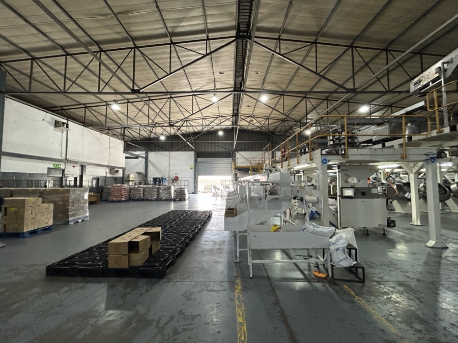 To Let commercial Property for Rent in Epping Industrial Western Cape